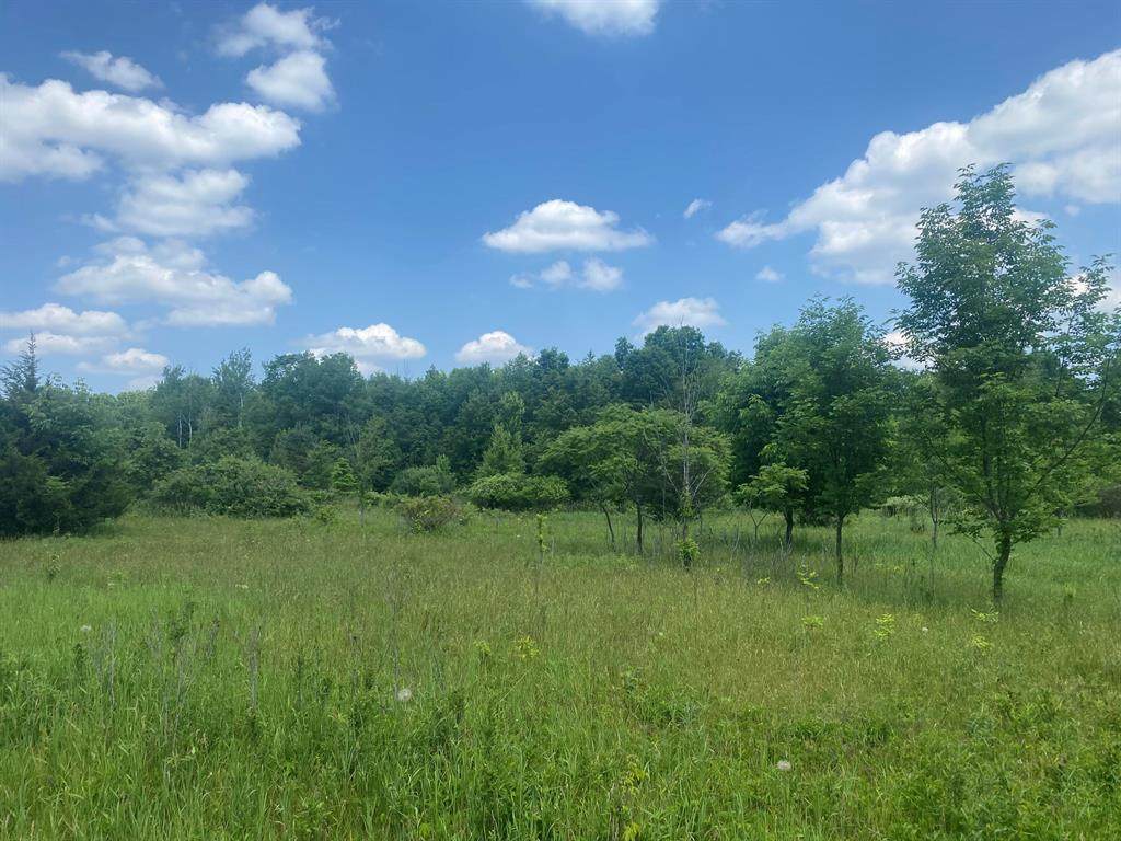 V/L 102nd Avenue - Photo 1