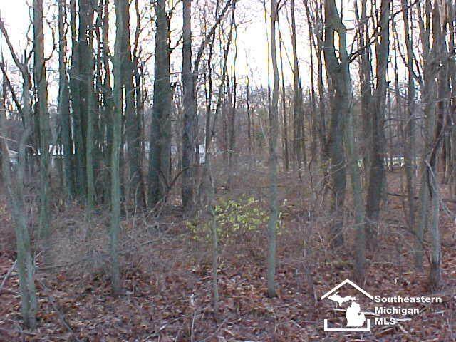 Lot 18/19 Onway Drive - Photo 1