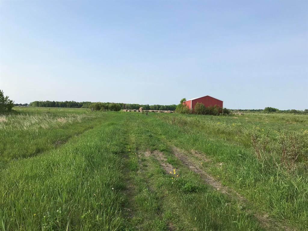 7 Mile Road - Photo 1