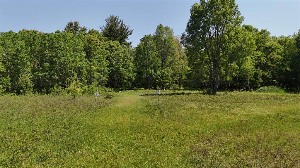 16311 Dickson Road - Photo 1