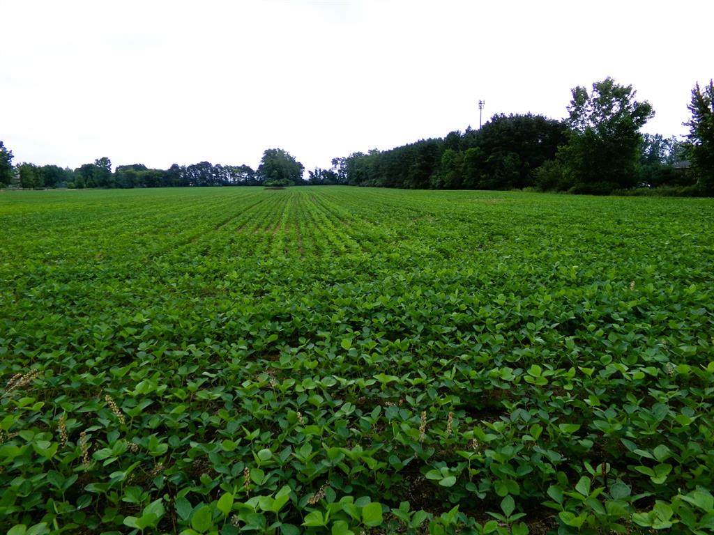 TBD Garfield Road - Photo 1