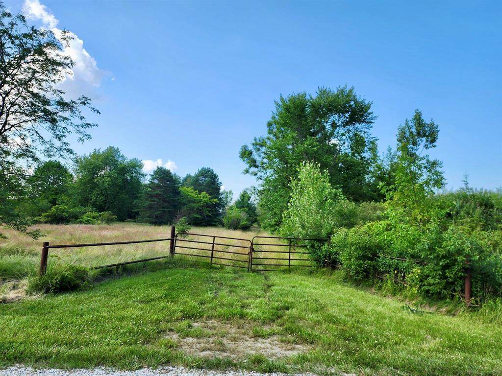 Vacant Springborn Road - Photo 1