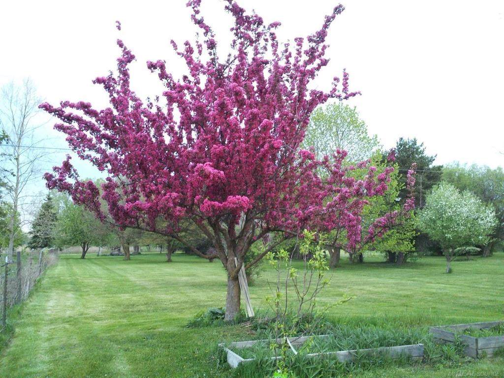 https://bt-photos.global.ssl.fastly.net/michigan/orig_boomver_1_632224953-2.jpg