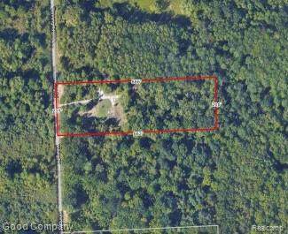 16295 Vining Road - Photo 1