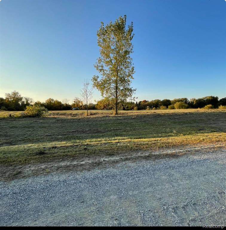 Parcel 3 Creek Ln - Photo 1