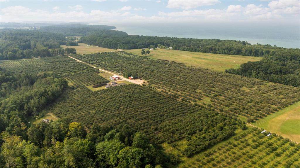 3089 Swaney Road - Photo 1