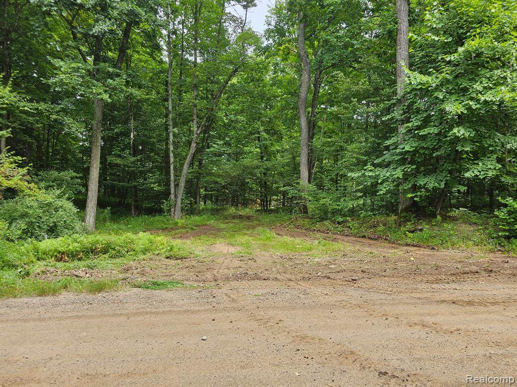 8600 Eagle Road - Photo 1