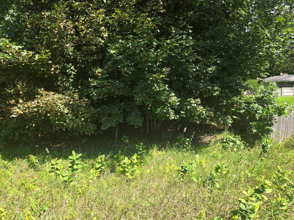 https://bt-photos.global.ssl.fastly.net/michigan/orig_boomver_1_639174094-2.jpg