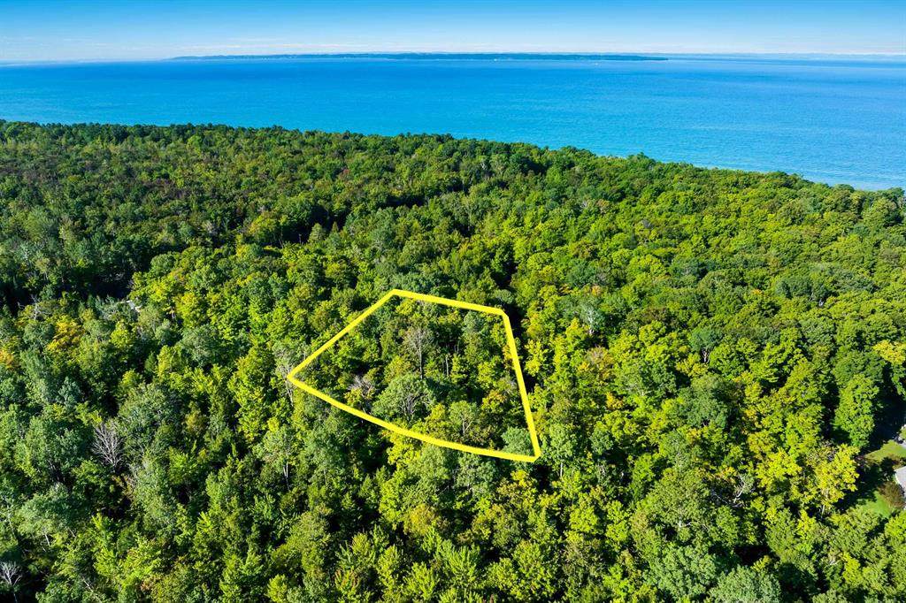 #2 Aspen Trail - Photo 1