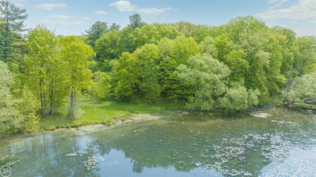 00 Coats Road - Photo 1