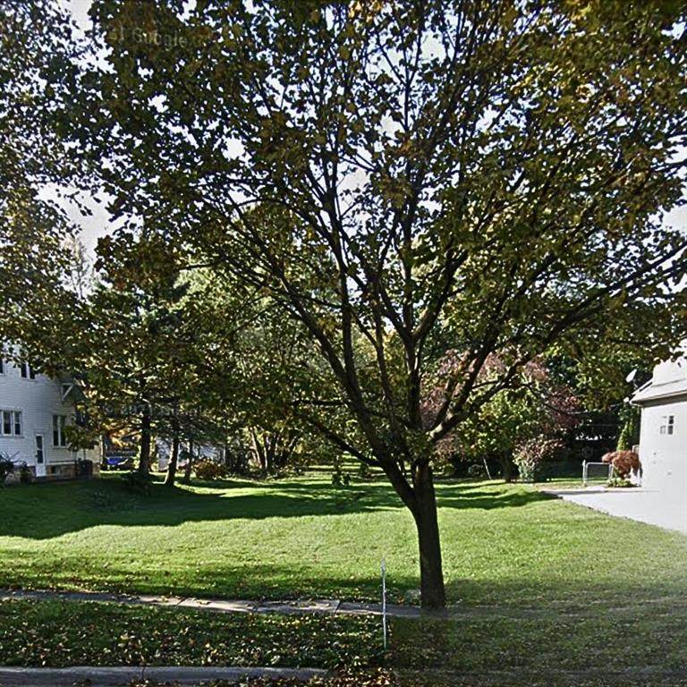 525 Macomb Street - Photo 1