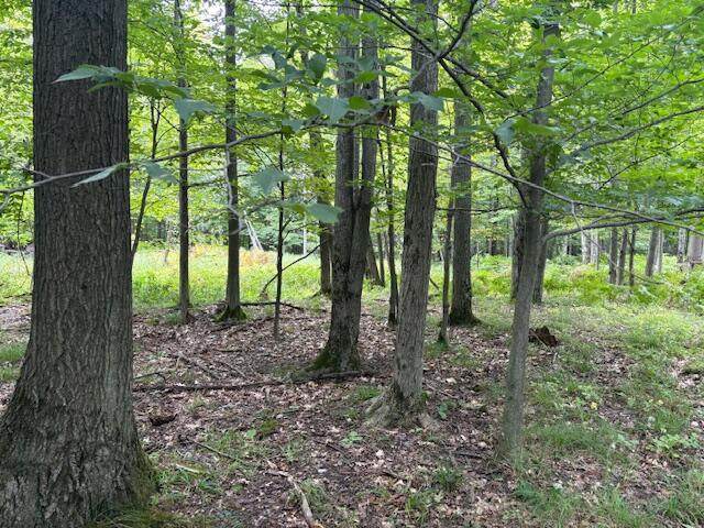  Flarity Road - Photo 1