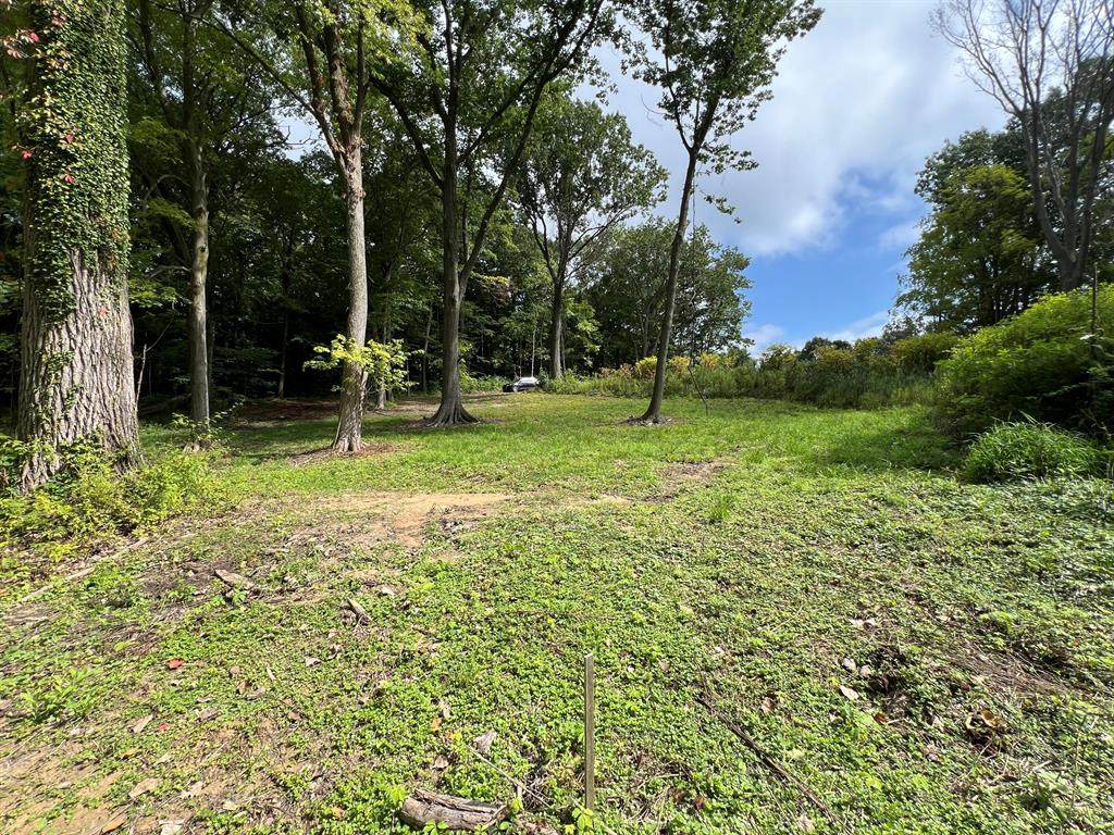 5908 Pierce Street - Photo 1