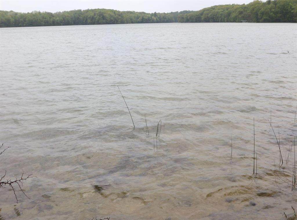 V/L Tranquil Wood Ln - Photo 1