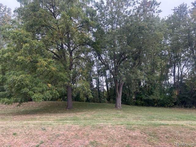 Lot A Chapin Street - Photo 1
