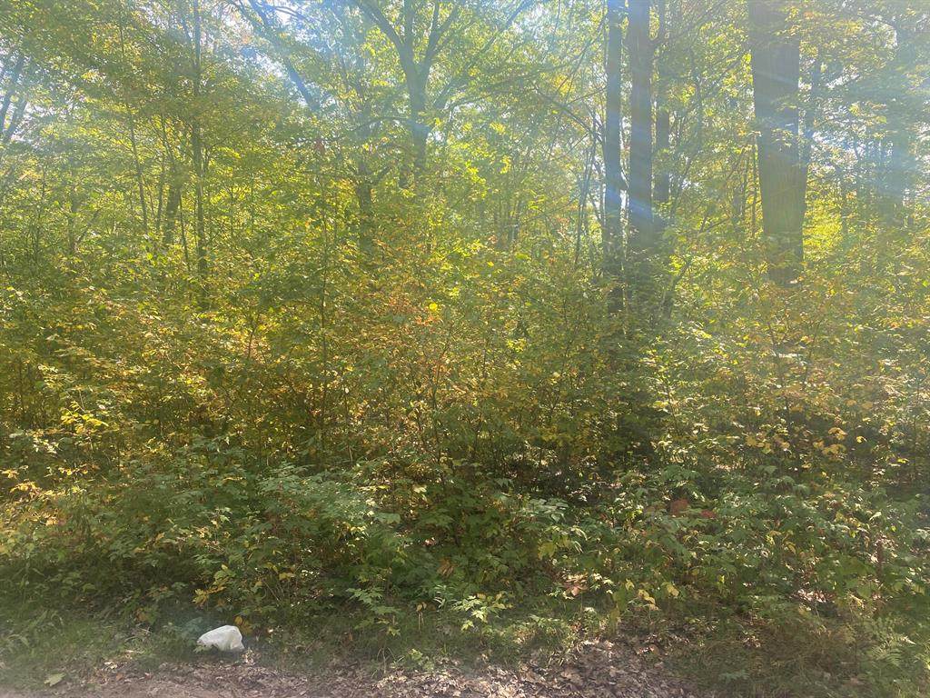 7813/7831 Wilderness Drive - Photo 1