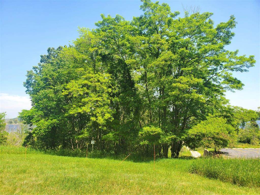 Lot 3 Old Channel Trail - Photo 1