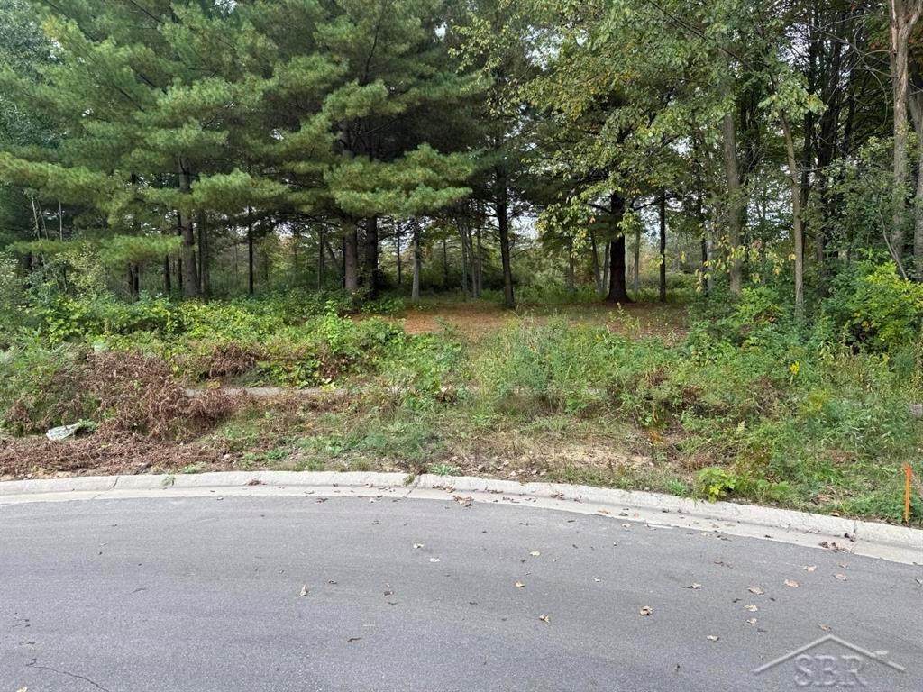 6210 Evergreen Court - Photo 1