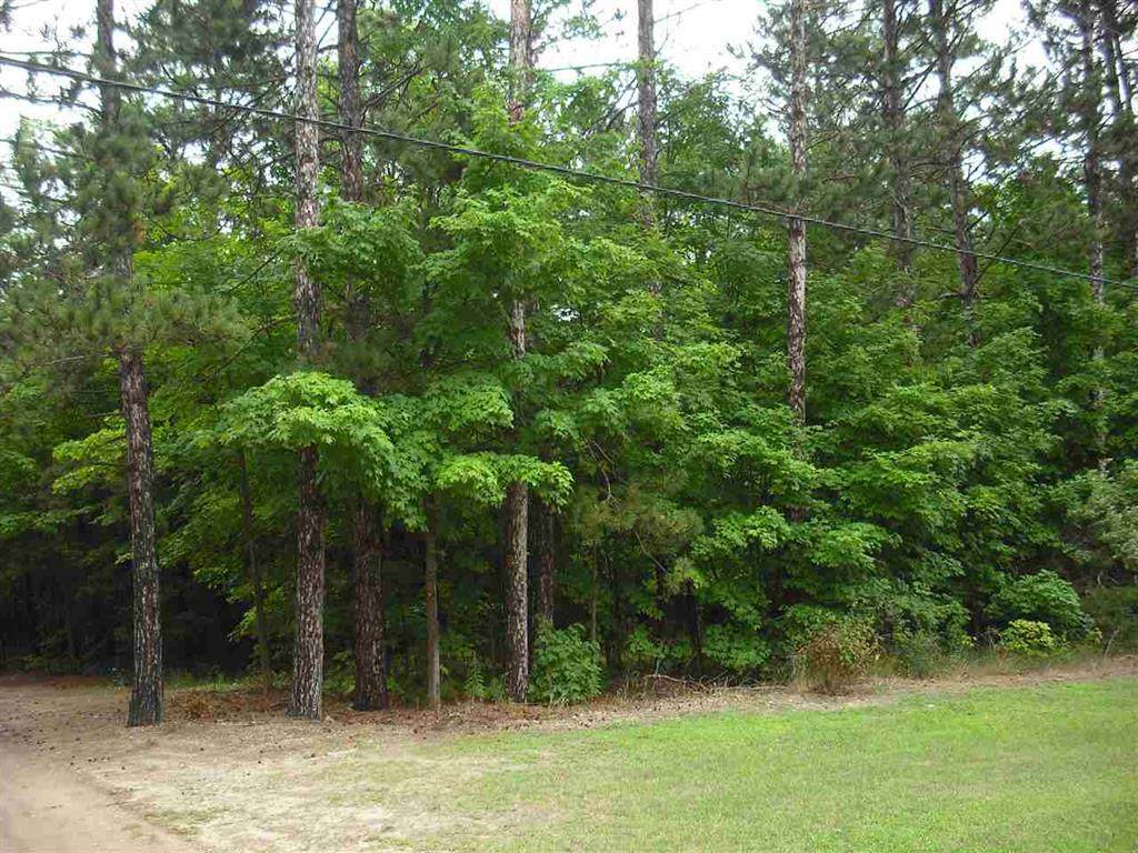 Parcel F3A Jackson Creek Road - Photo 1