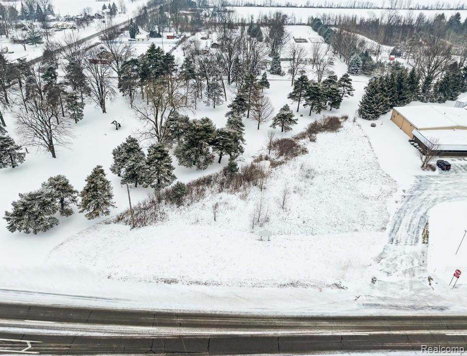 12502 Corunna Road - Photo 1