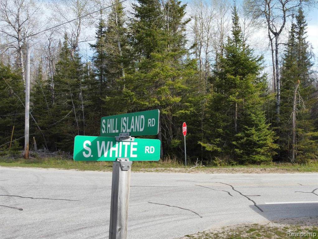 0 White Road - Photo 1