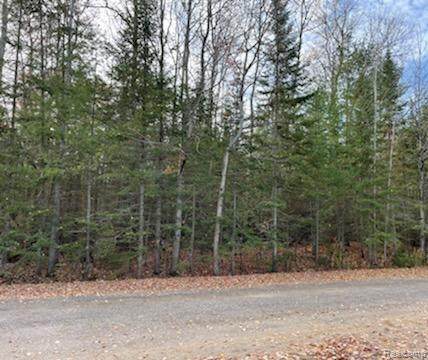 9763 High Banks - Photo 1