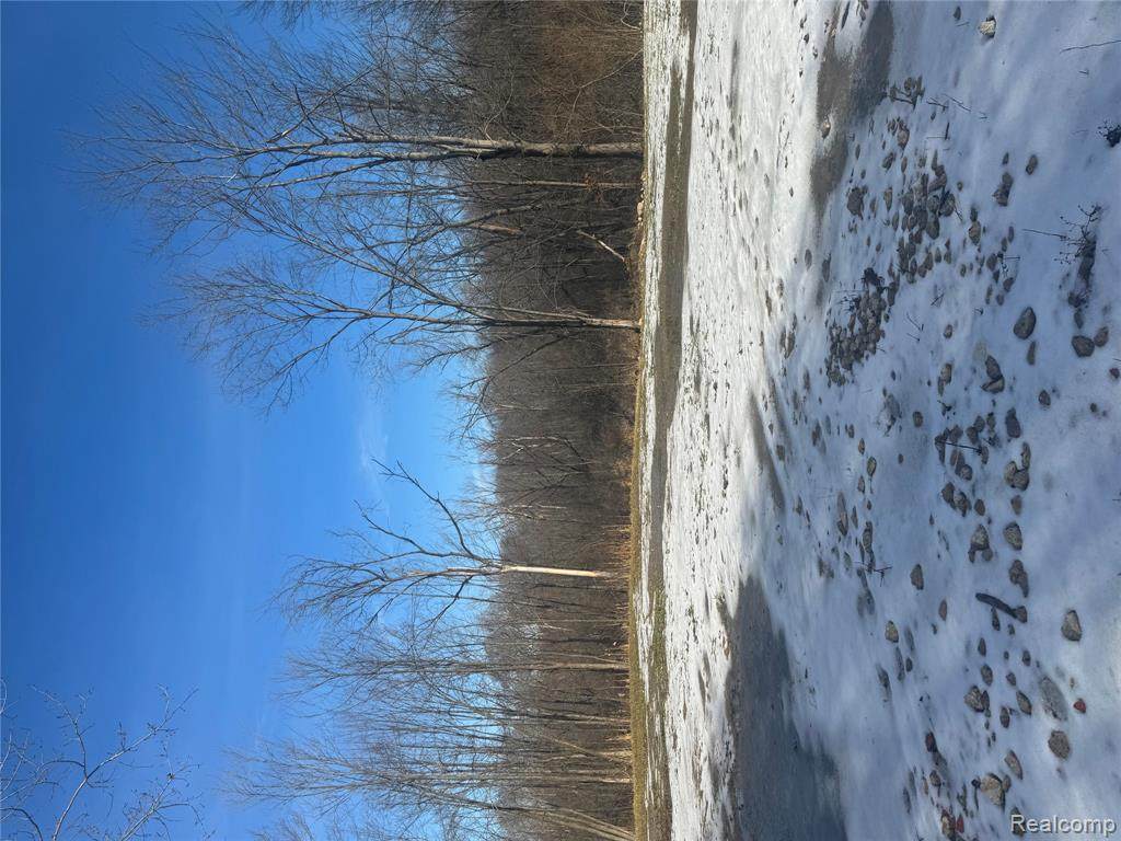 https://bt-photos.global.ssl.fastly.net/michigan/orig_boomver_1_649252420-2.jpg