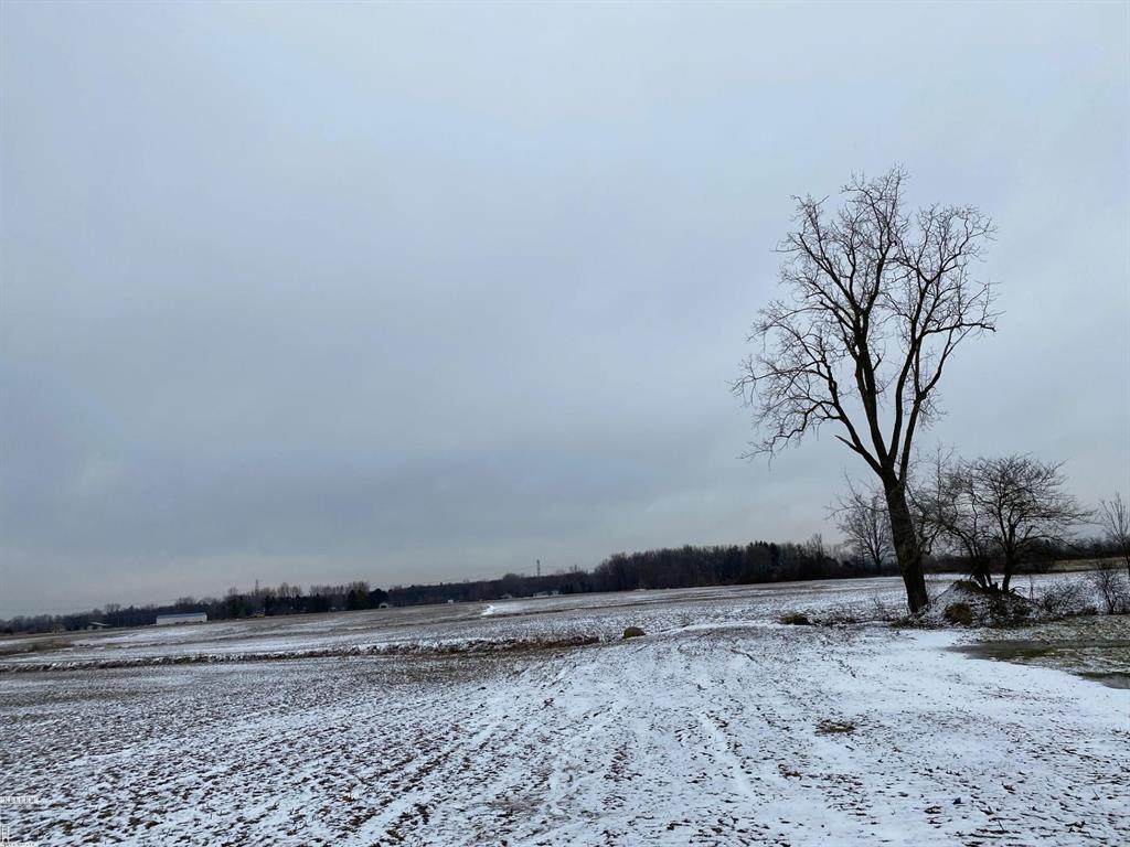 https://bt-photos.global.ssl.fastly.net/michigan/orig_boomver_1_649258938-2.jpg