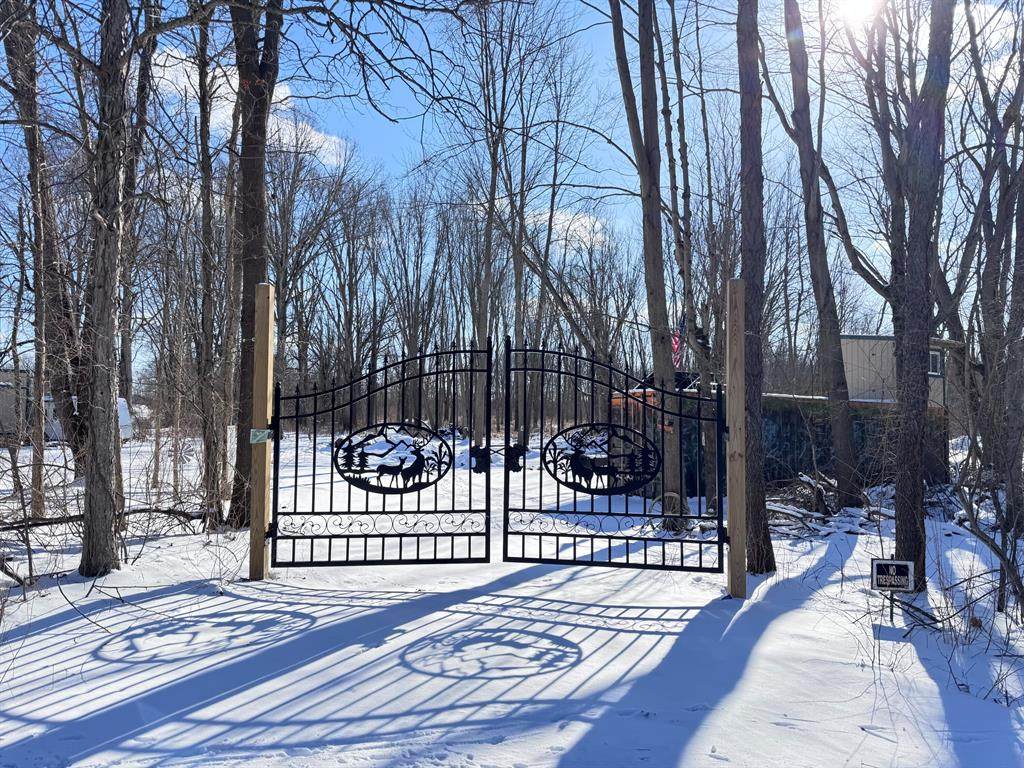 479 Grass Lake Road - Photo 1