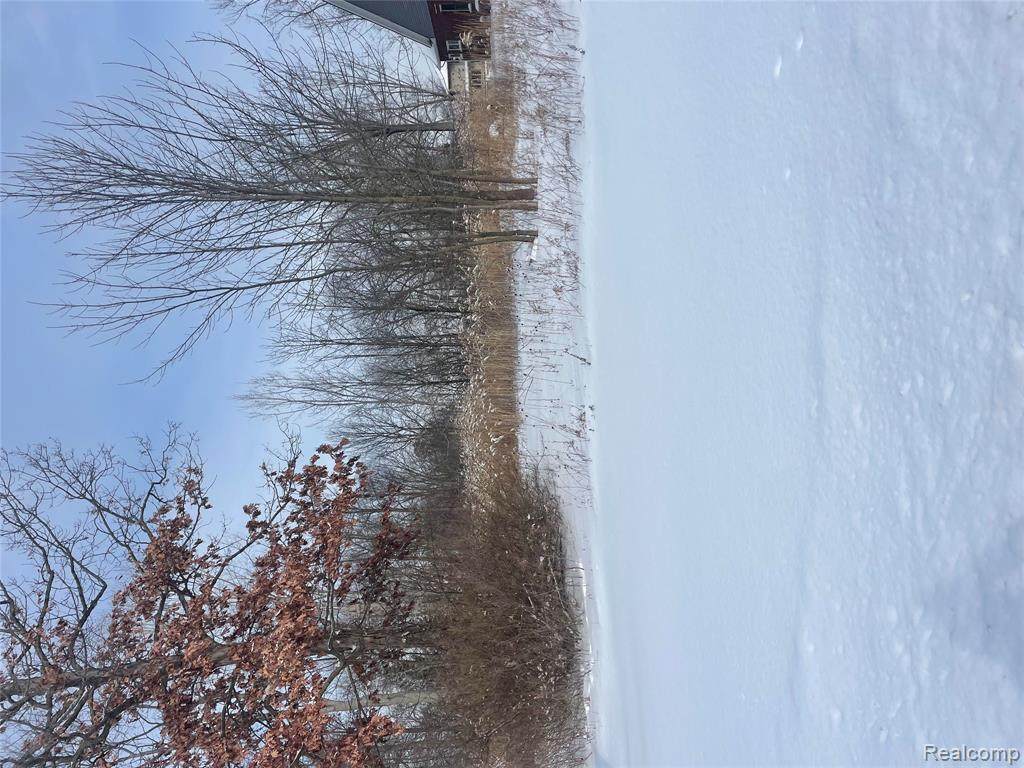 0000 Grays Drive - Photo 1
