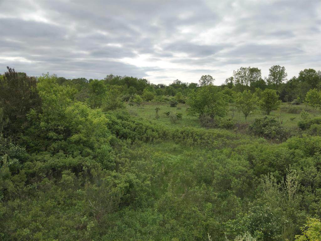 https://bt-photos.global.ssl.fastly.net/michigan/orig_boomver_1_649644804-2.jpg