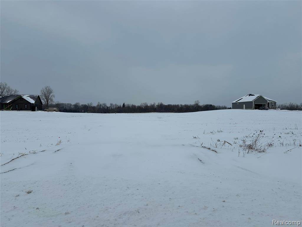 4557 Imlay City Road - Photo 1