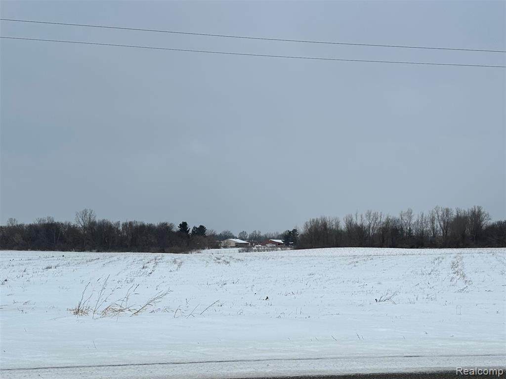 4651 Imlay City Road - Photo 1