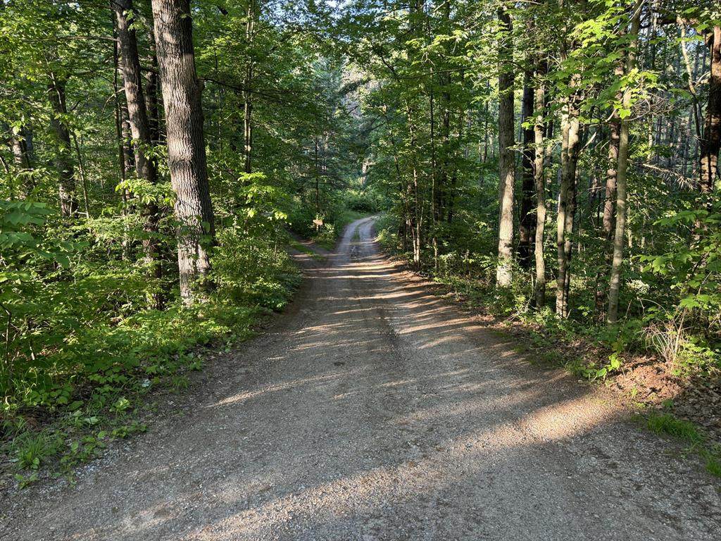 https://bt-photos.global.ssl.fastly.net/michigan/orig_boomver_1_650794720-2.jpg