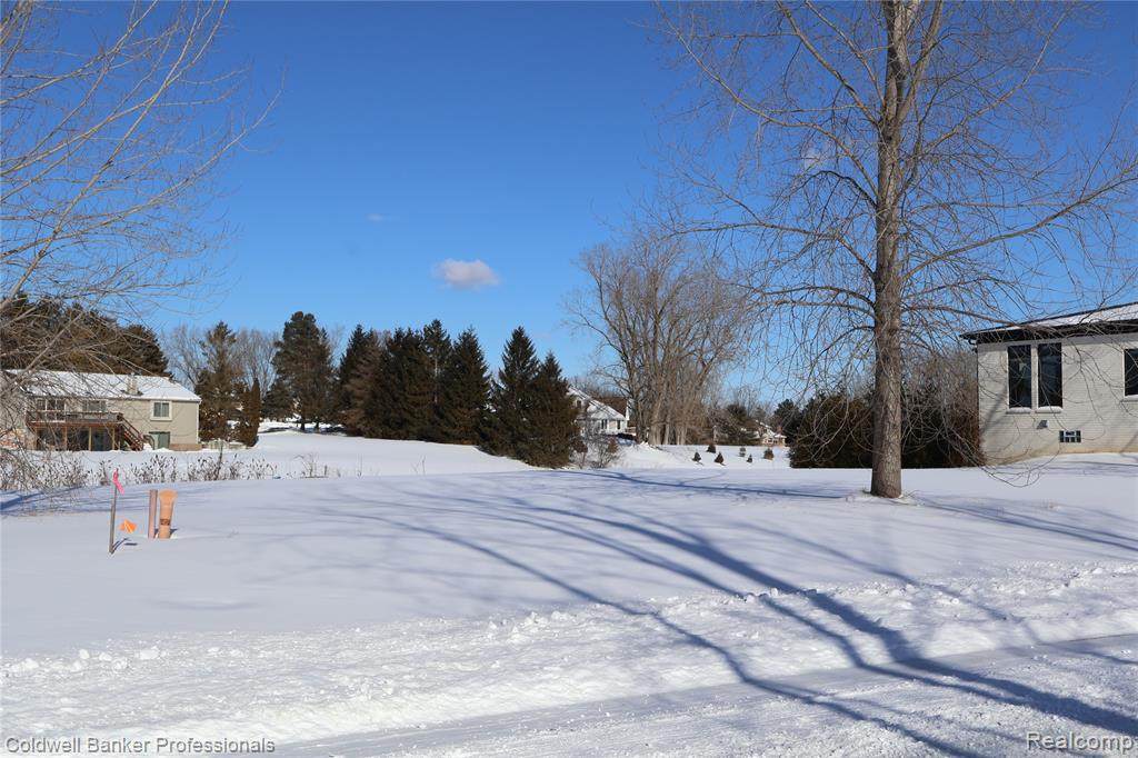 https://bt-photos.global.ssl.fastly.net/michigan/orig_boomver_1_650805880-2.jpg