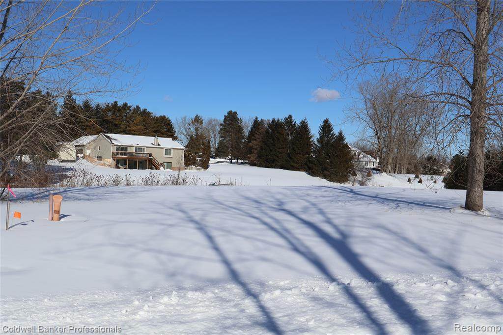 https://bt-photos.global.ssl.fastly.net/michigan/orig_boomver_1_650805880-2.jpg