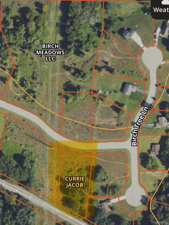 0000 Birch Meadows Lane - Photo 1