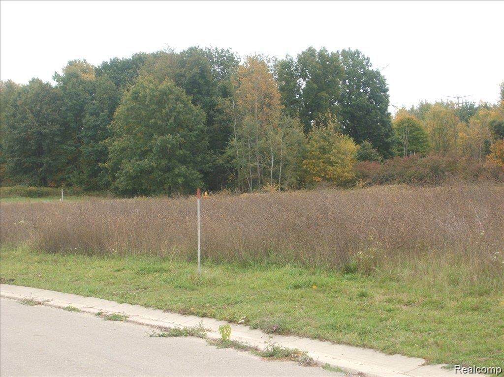 https://bt-photos.global.ssl.fastly.net/michigan/orig_boomver_1_650881194-2.jpg