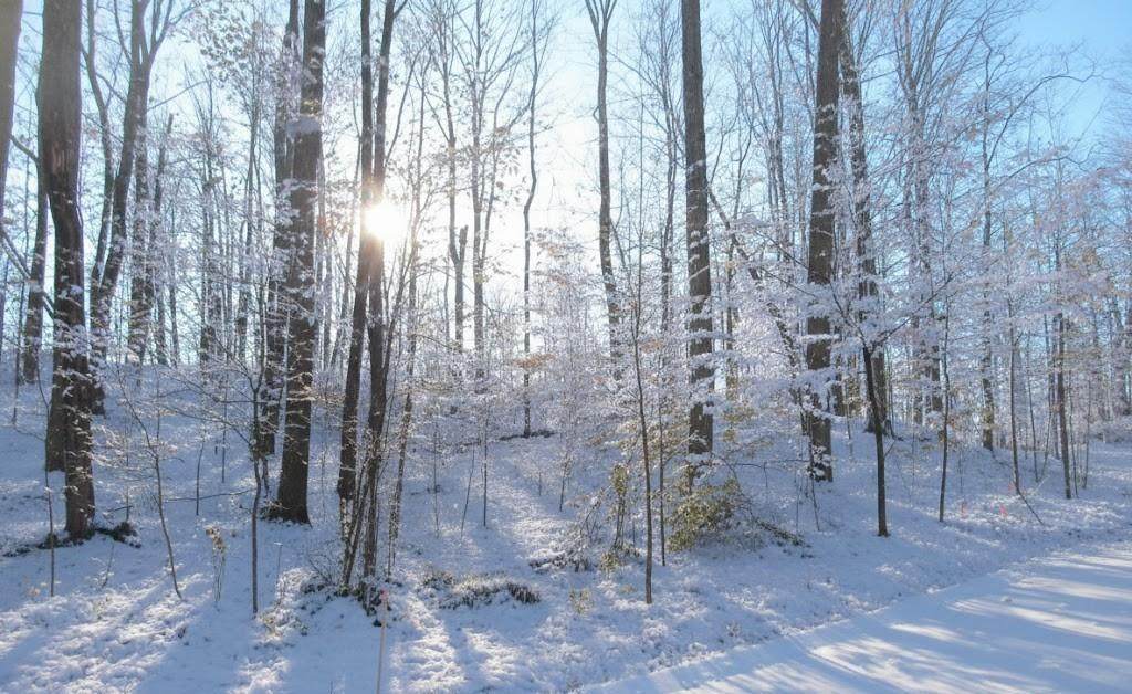https://bt-photos.global.ssl.fastly.net/michigan/orig_boomver_1_650881524-2.jpg