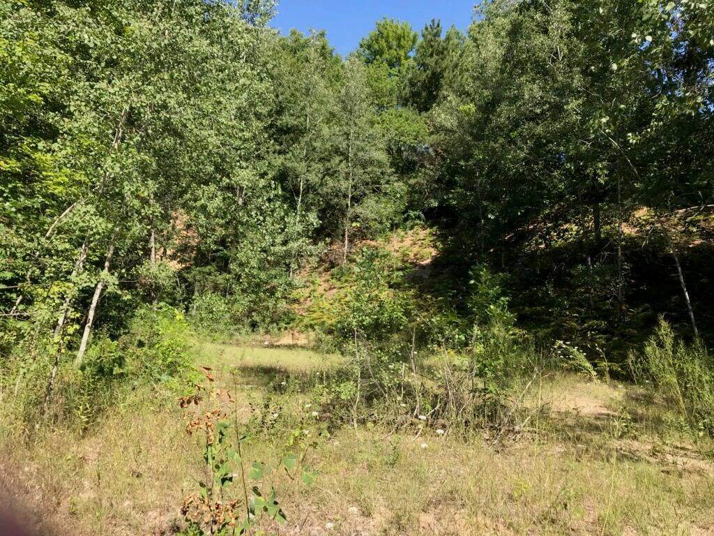 Lots 8 & 9 Riverview Drive - Photo 1