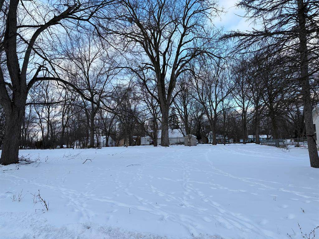 2918 Midwood Street - Photo 1