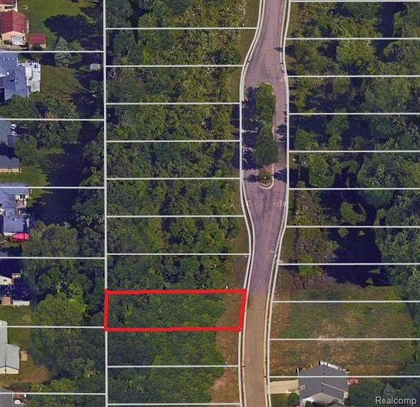 11426 Hidden Oaks Drive - Photo 1