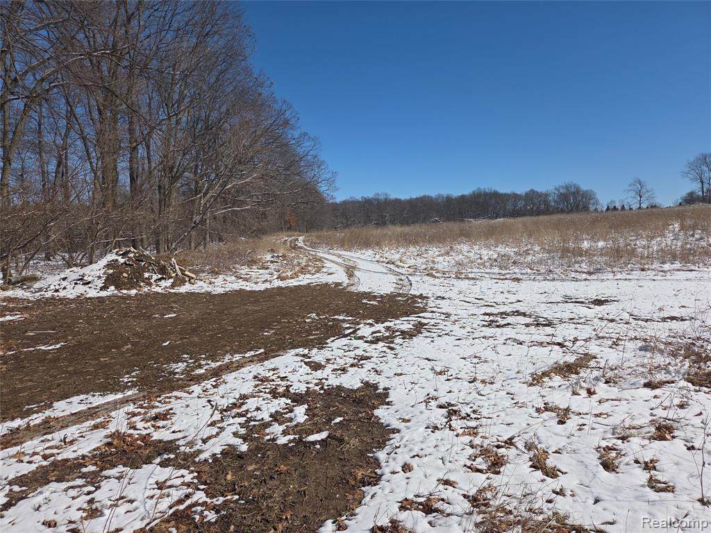 parcel 3 Mack Rd Road - Photo 1