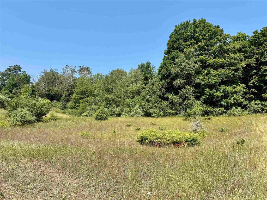00 Alden Meadows Drive - Photo 1