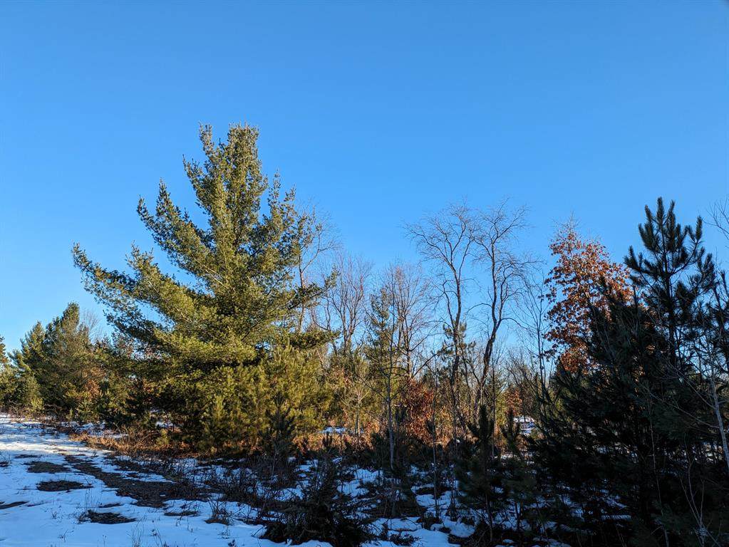 Bergstrom Drive - Photo 1
