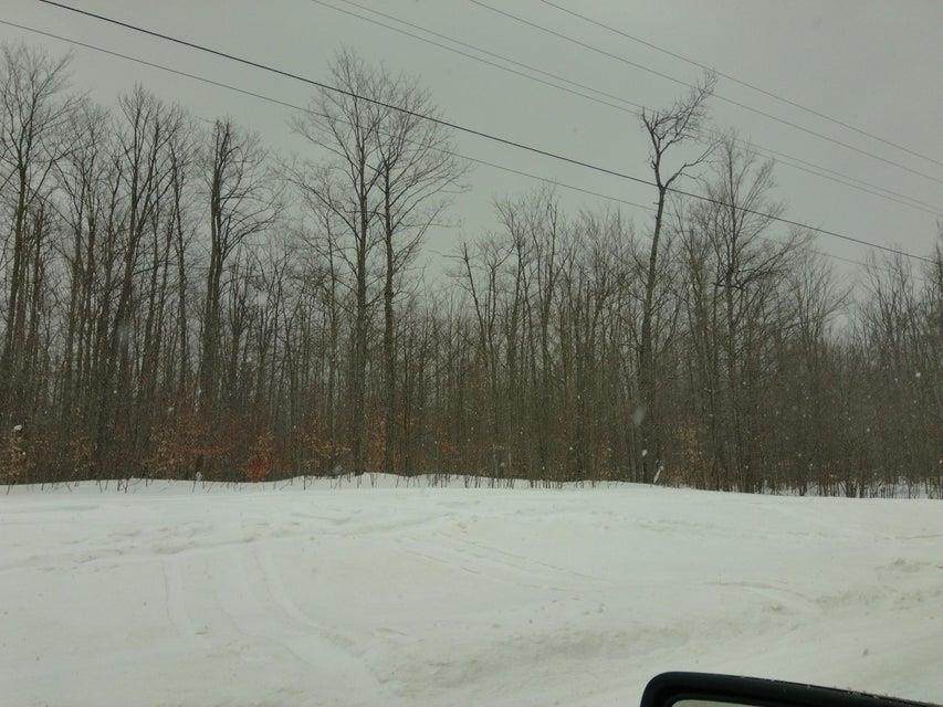 https://bt-photos.global.ssl.fastly.net/michigan/orig_boomver_4_651822349-2.jpg