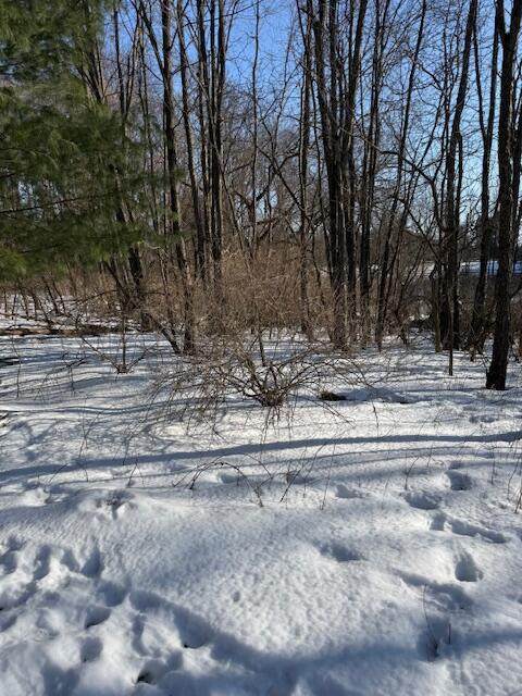 https://bt-photos.global.ssl.fastly.net/michigan/orig_boomver_1_651829459-2.jpg