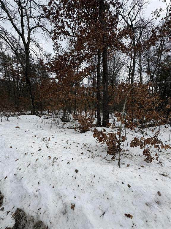 https://bt-photos.global.ssl.fastly.net/michigan/orig_boomver_1_651831102-2.jpg