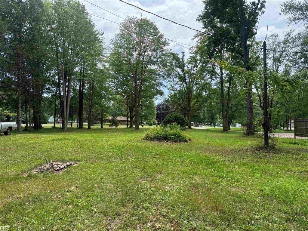 6630 Holland Street - Photo 1
