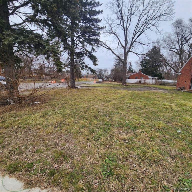 https://bt-photos.global.ssl.fastly.net/michigan/orig_boomver_1_651862094-2.jpg